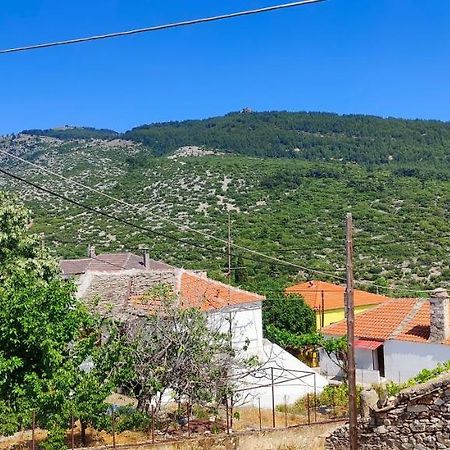 Stella House Villa Theologos  Dış mekan fotoğraf